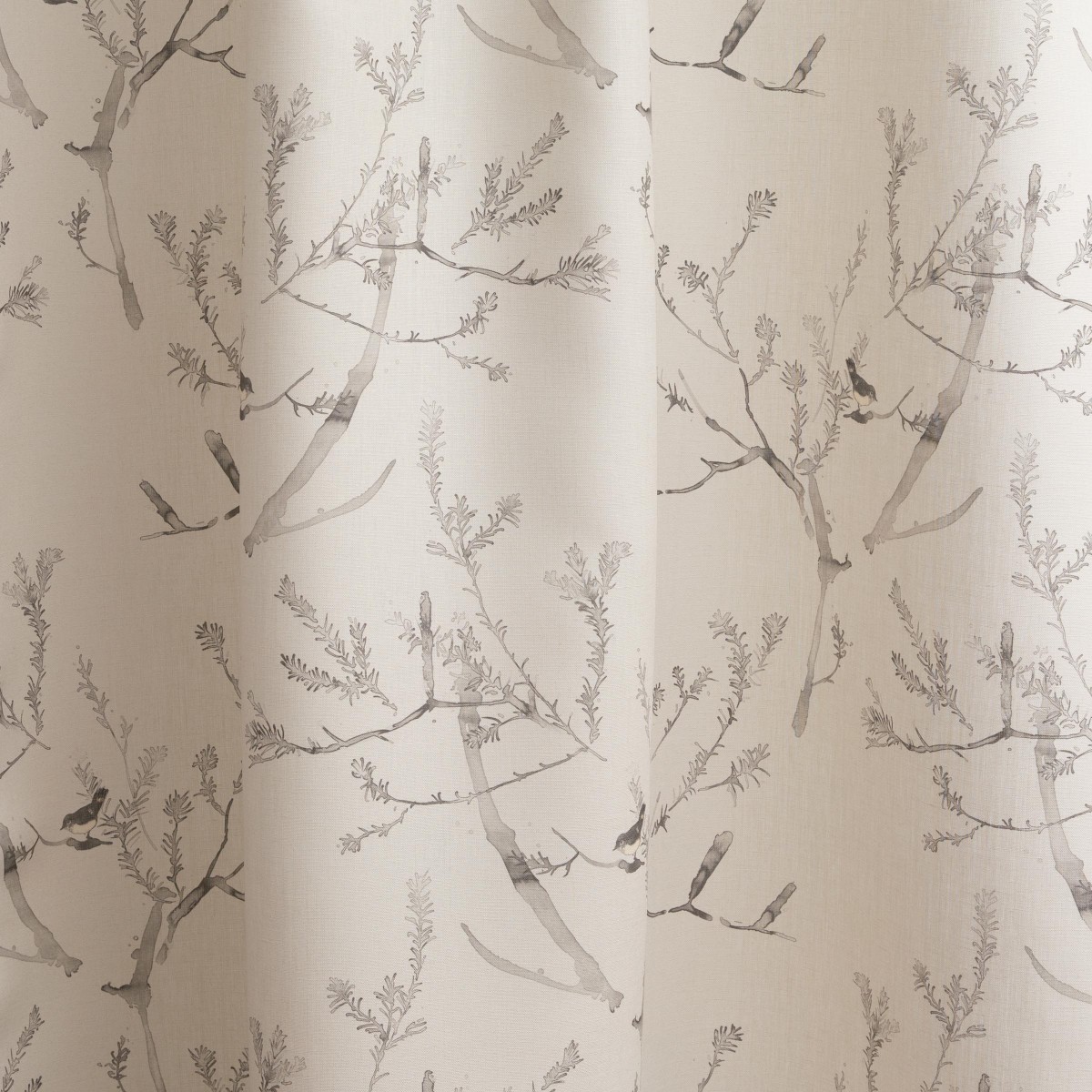 Heath Banksia in Bone