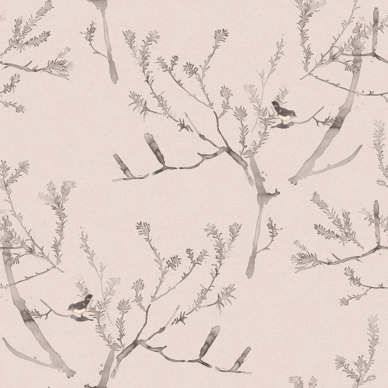 Heath Banksia in Pink Clay