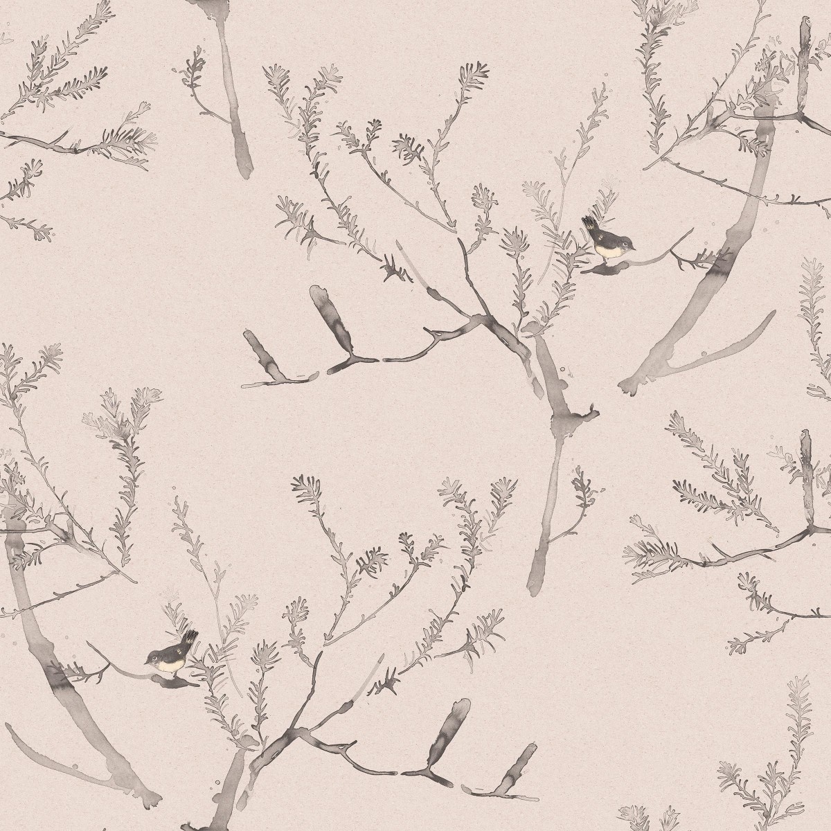 Heath Banksia in Pink Clay