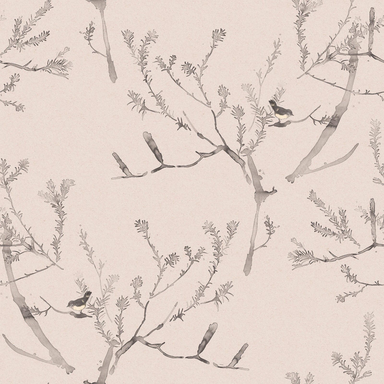 Heath Banksia in Pink Clay