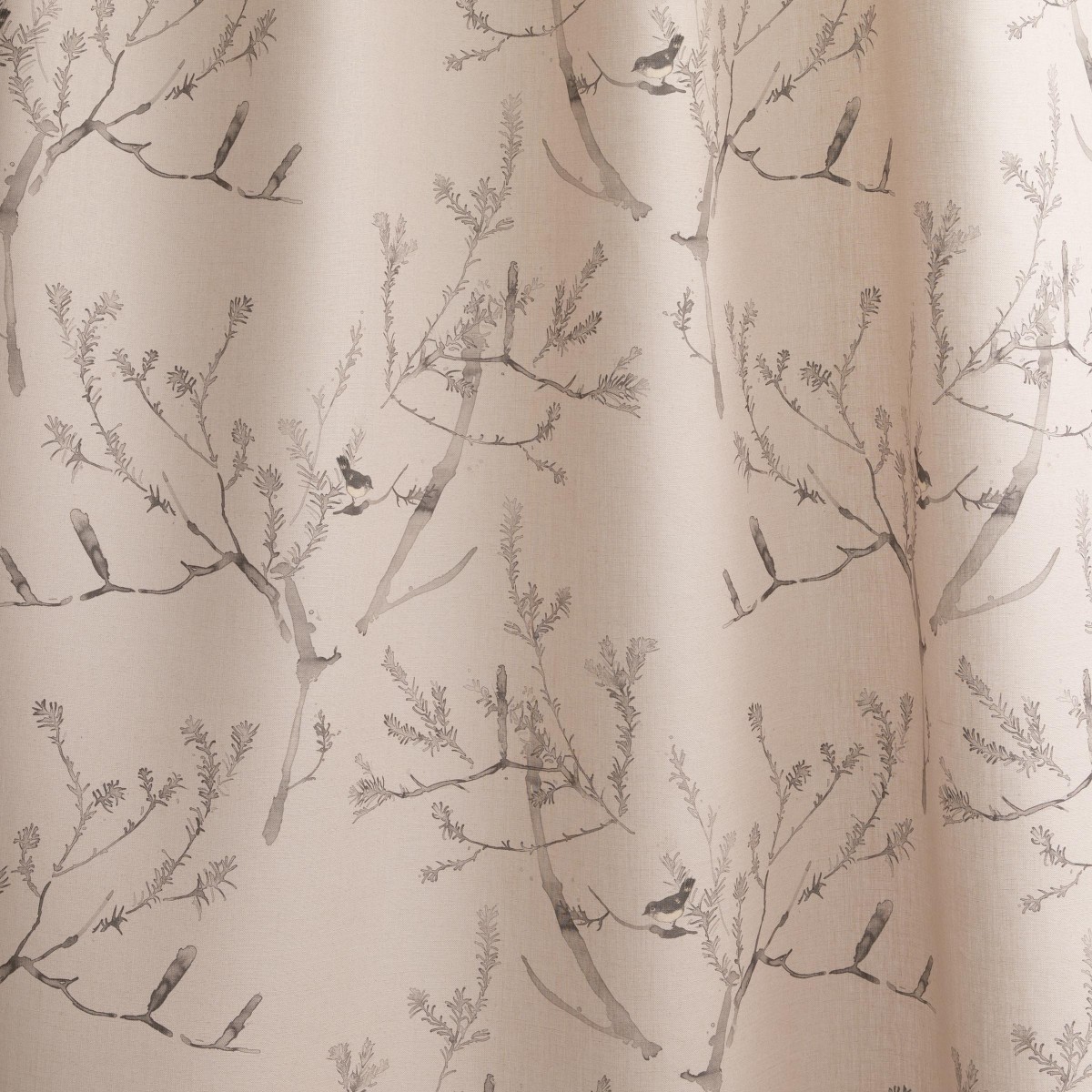 Heath Banksia in Pink Clay