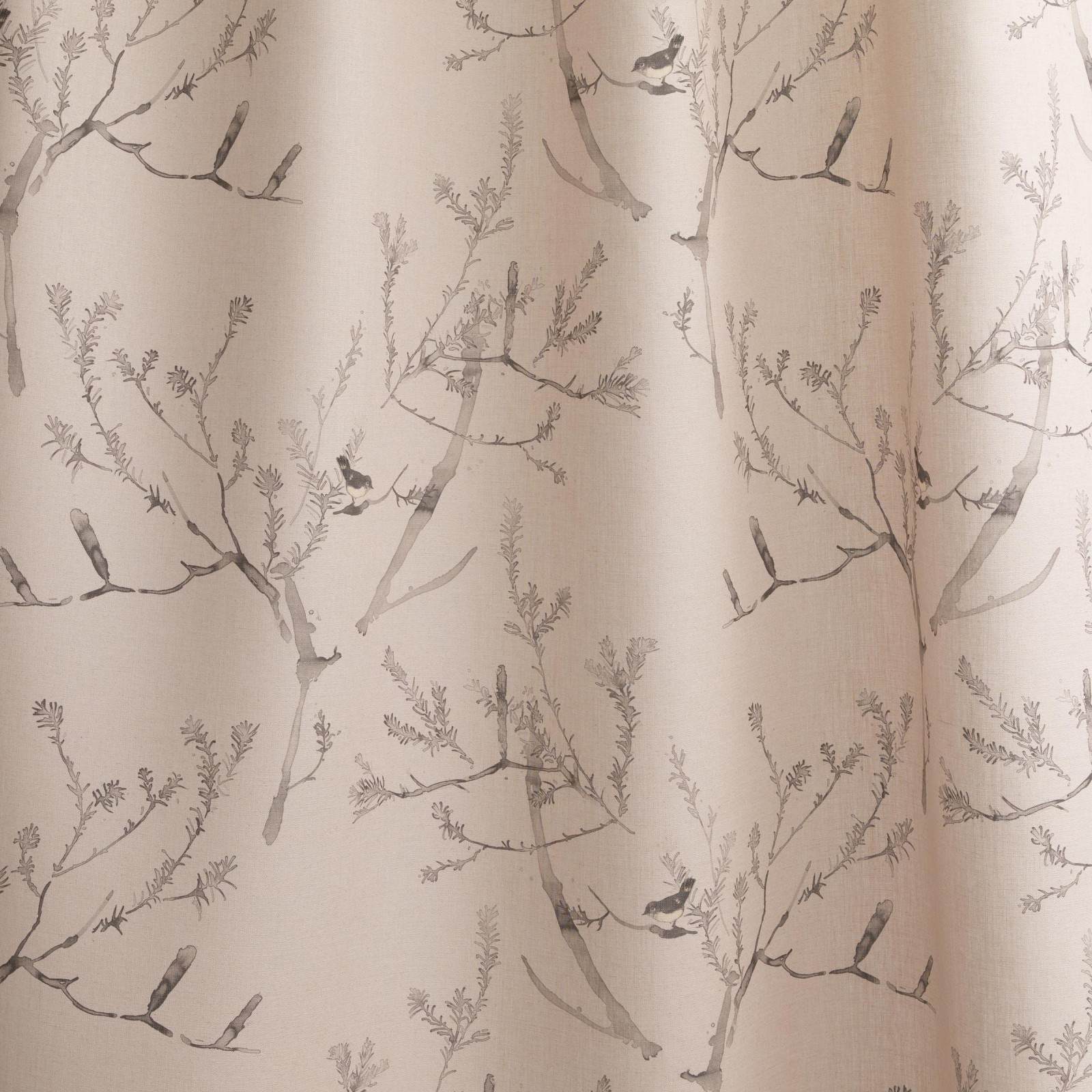 Heath Banksia in Pink Clay