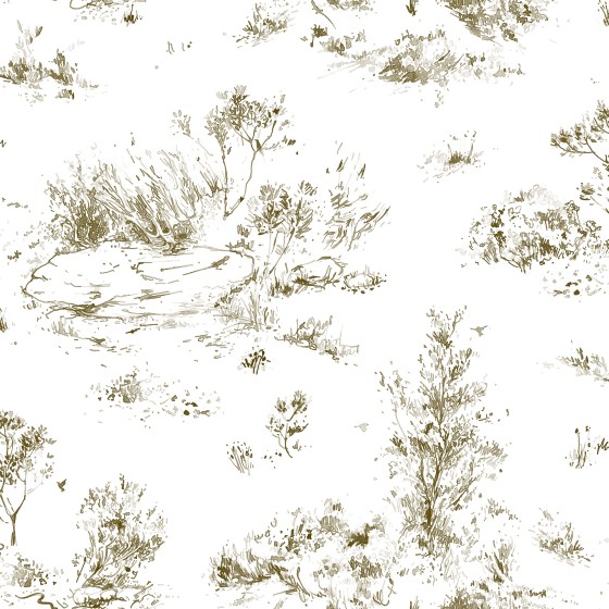 Dunes in Whispering Grass