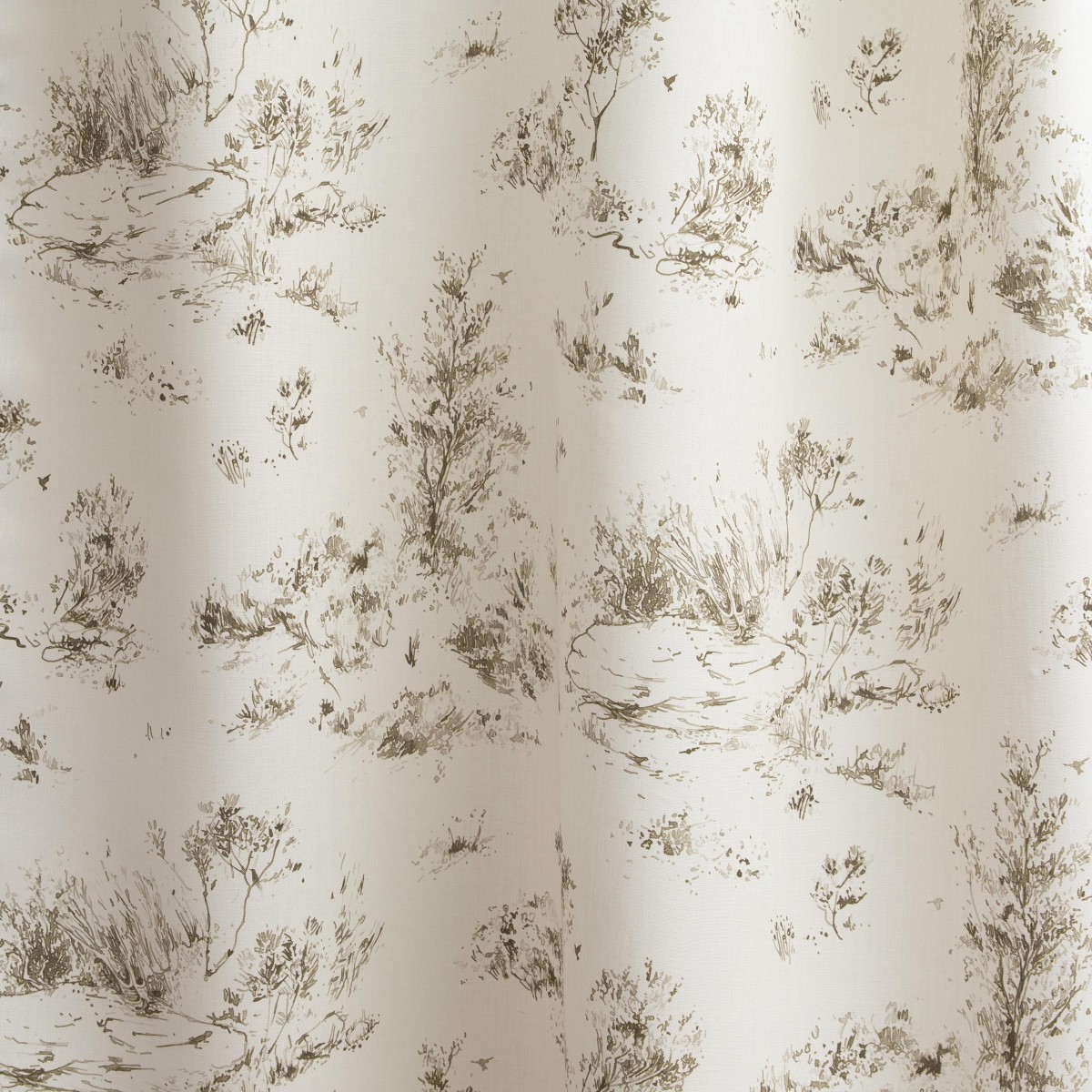 Dunes in Whispering Grass