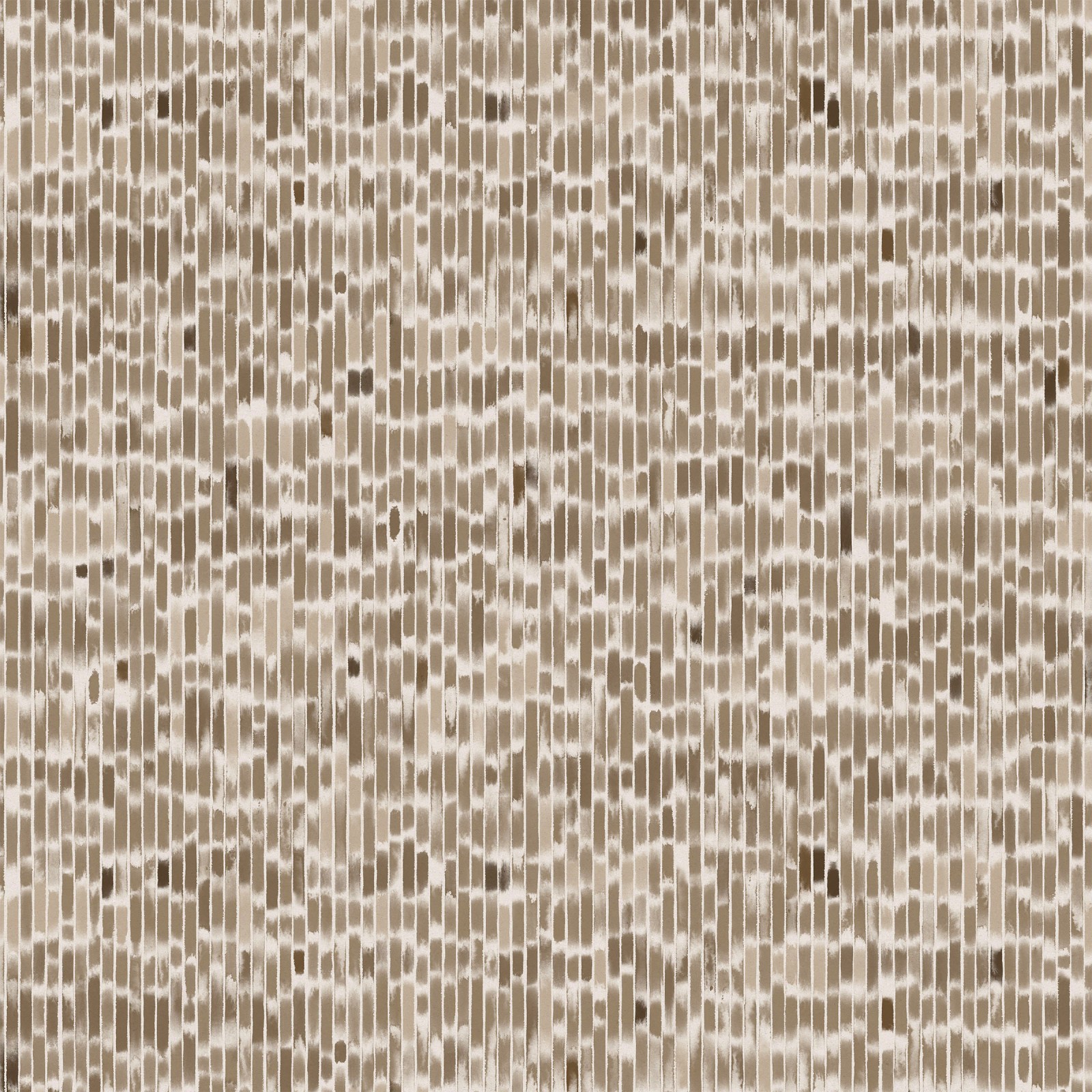 Coquina in Walnut