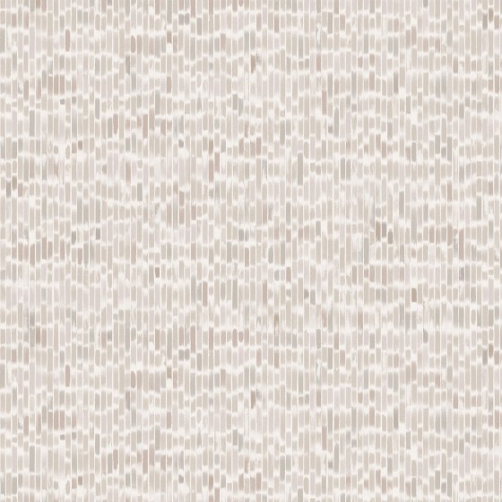 COQUINA in Pebble