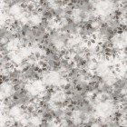 SMOKE BUSH in Twilight