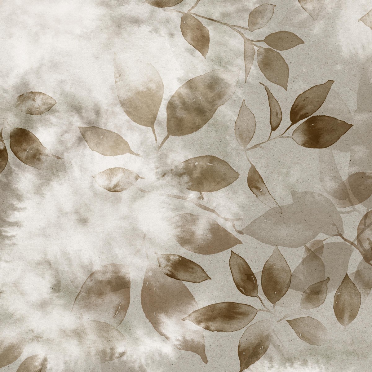 SMOKE BUSH in Bronze Leaf