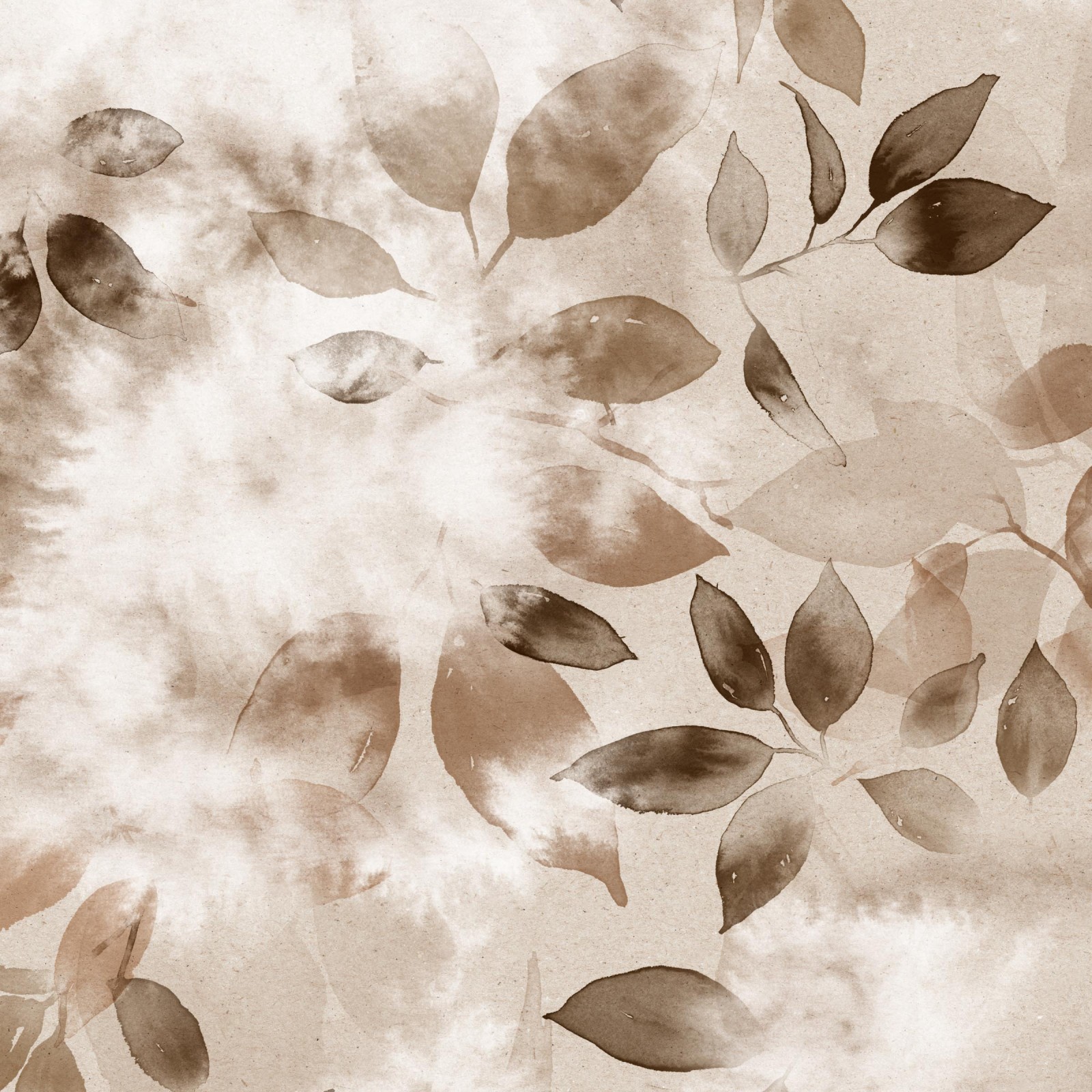 SMOKE BUSH in Burnt Umber