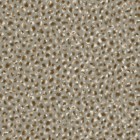 SERVAL in Rainforest