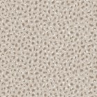 SERVAL in Tumbleweed