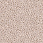 SERVAL in Wildflower