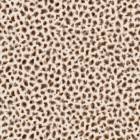 SERVAL in Teddy Bear