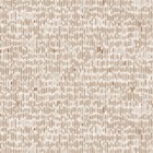 Coquina in Pink Plaster