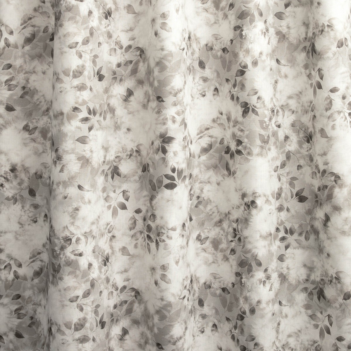 Smoke Bush in Cinder