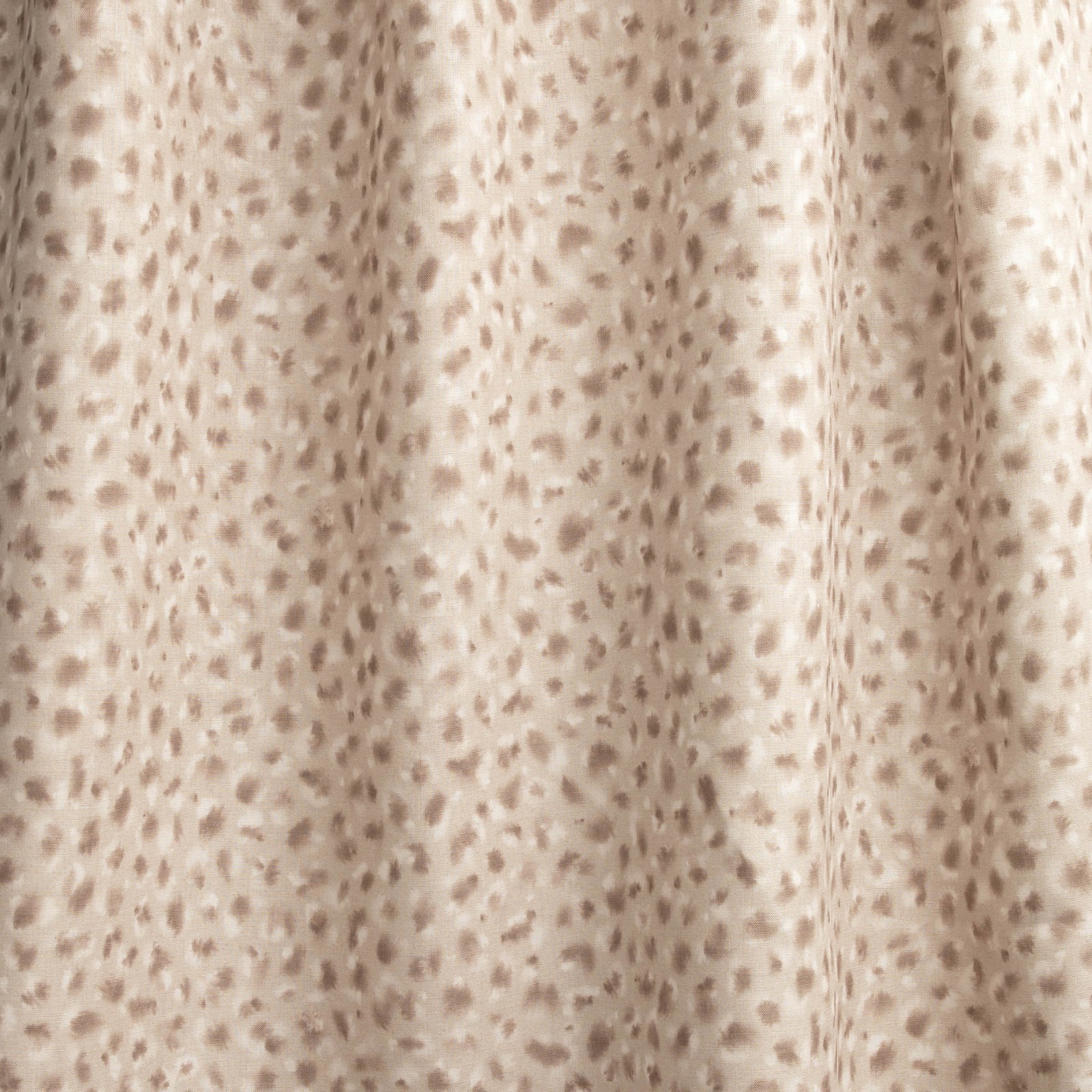 Serval in Cashmere
