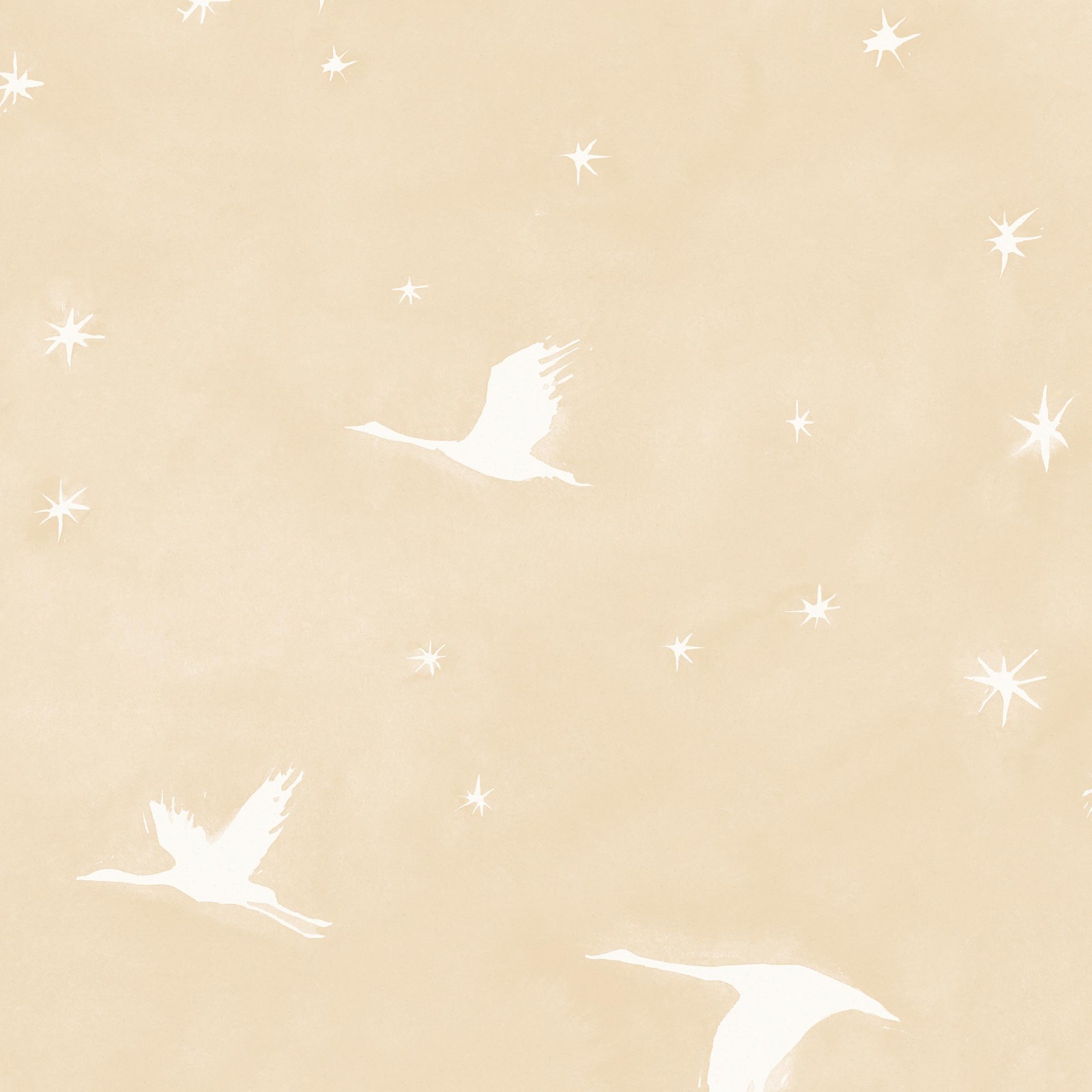 STARLIT in Hoshi
