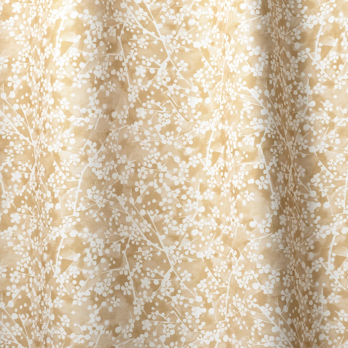 SUNLIT in Toro (half-scale)