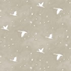 STARLIT in Lira (half-scale)