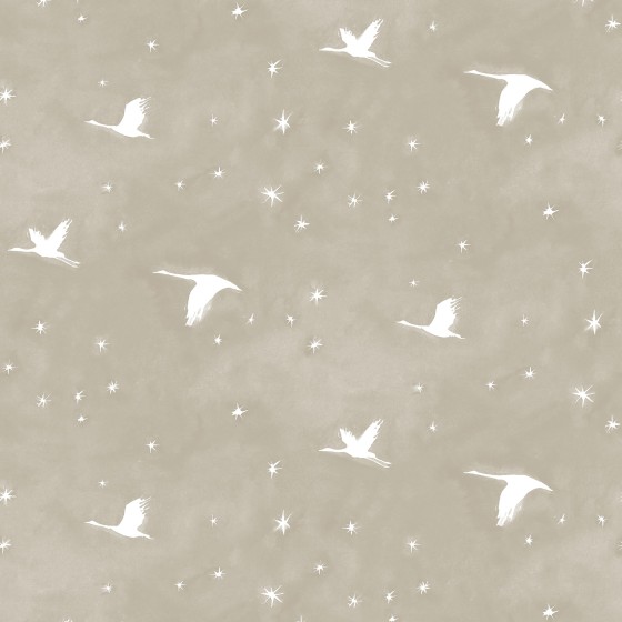 STARLIT in Lira (half-scale)