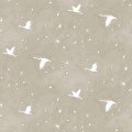 STARLIT in Lira (half-scale)