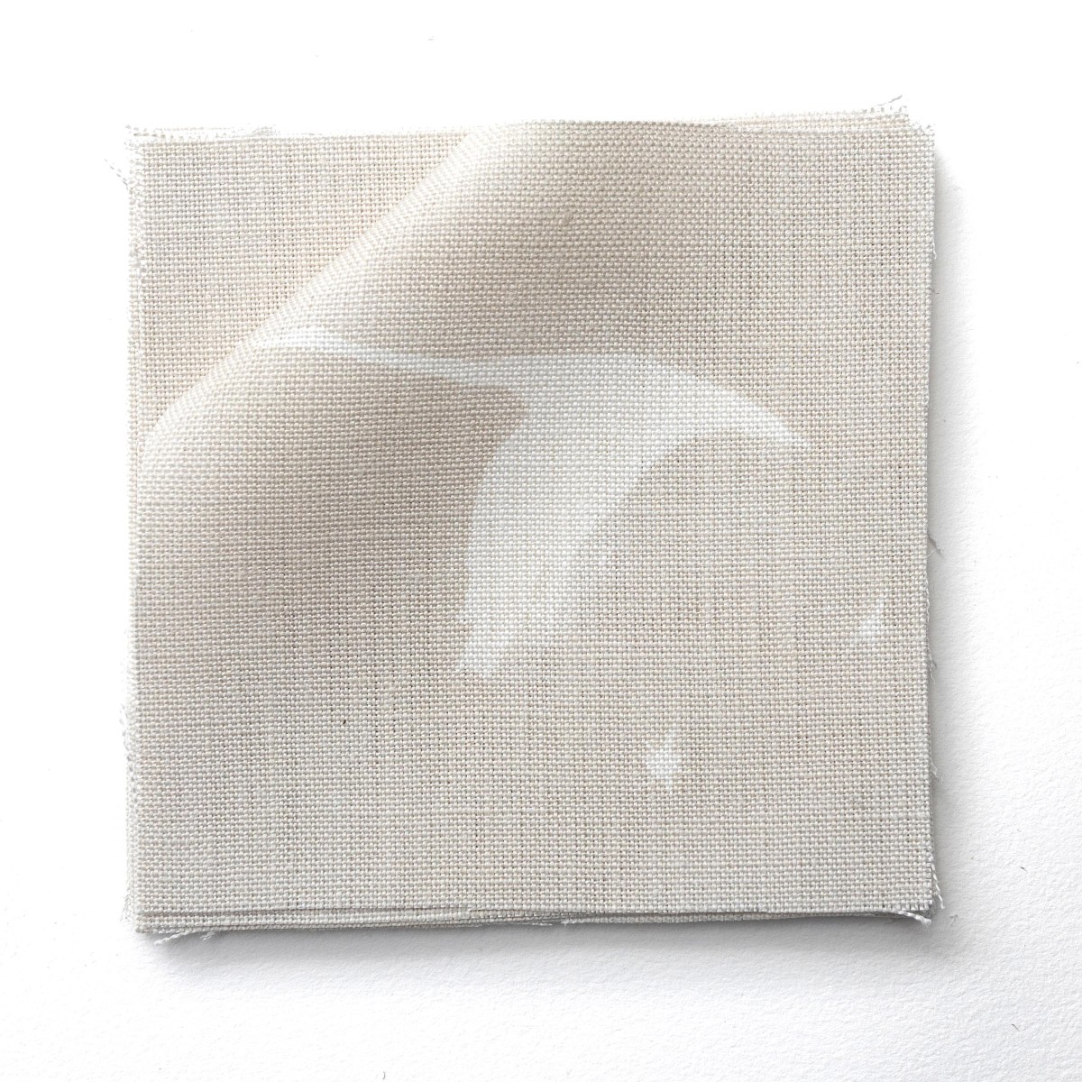 STARLIT in Hane (half-scale)