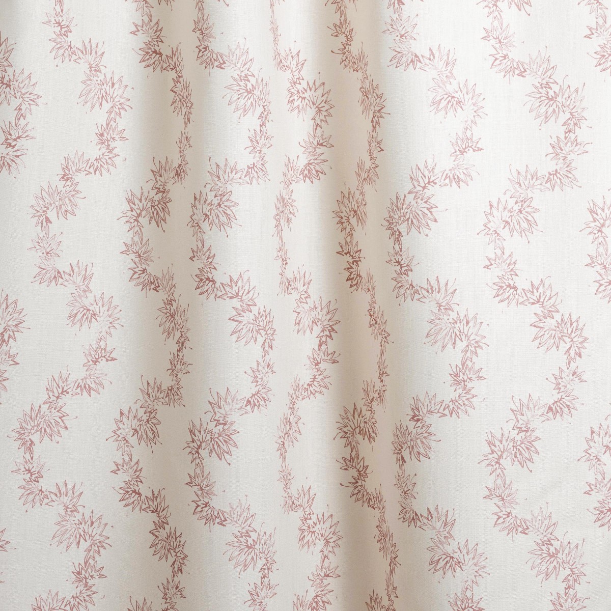 MEANDER in Peony