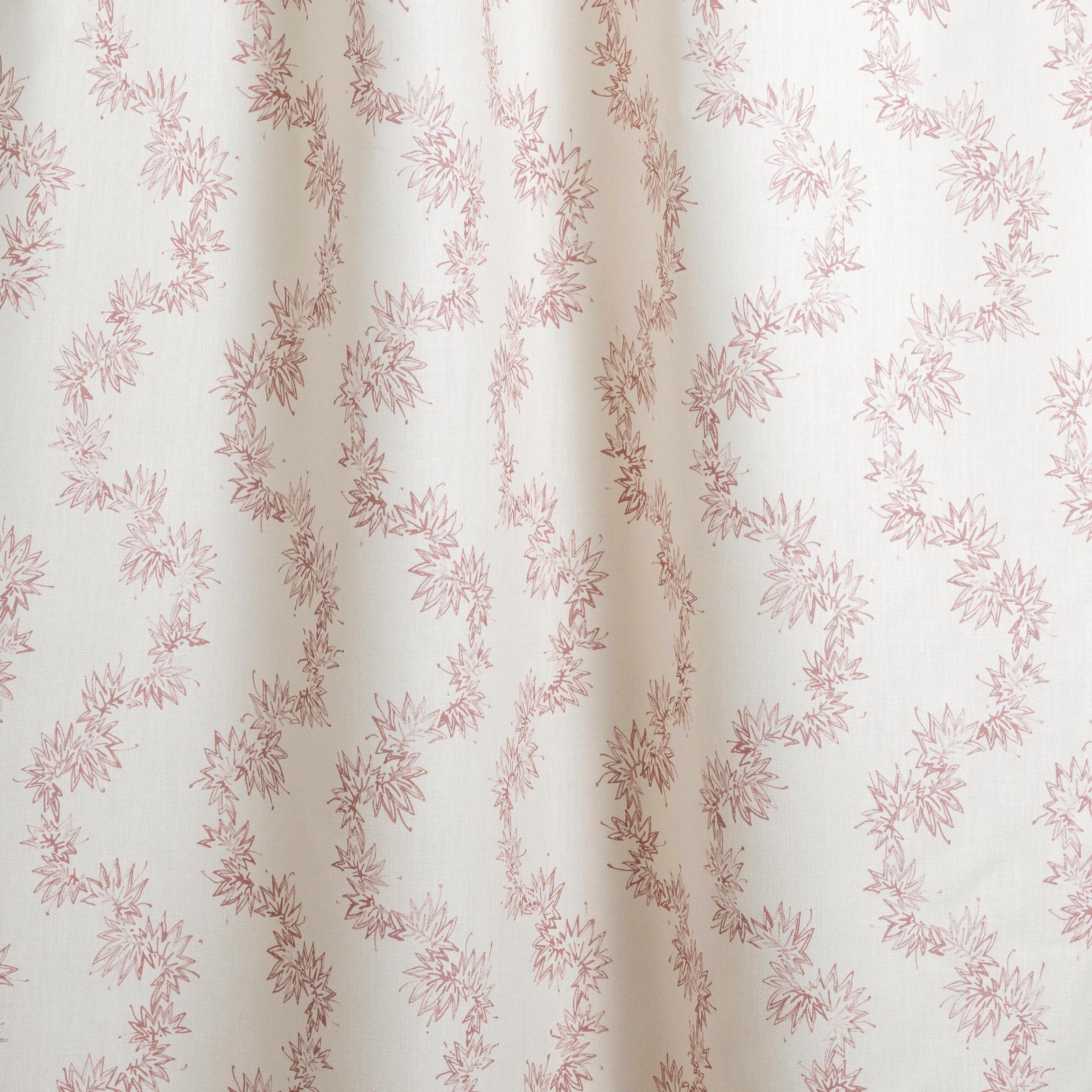 MEANDER in Peony