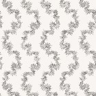 MEANDER in Quill