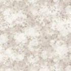 SMOKE BUSH in Lace