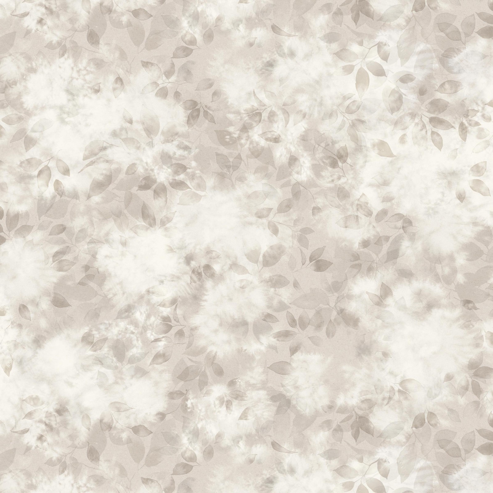 SMOKE BUSH in Lace