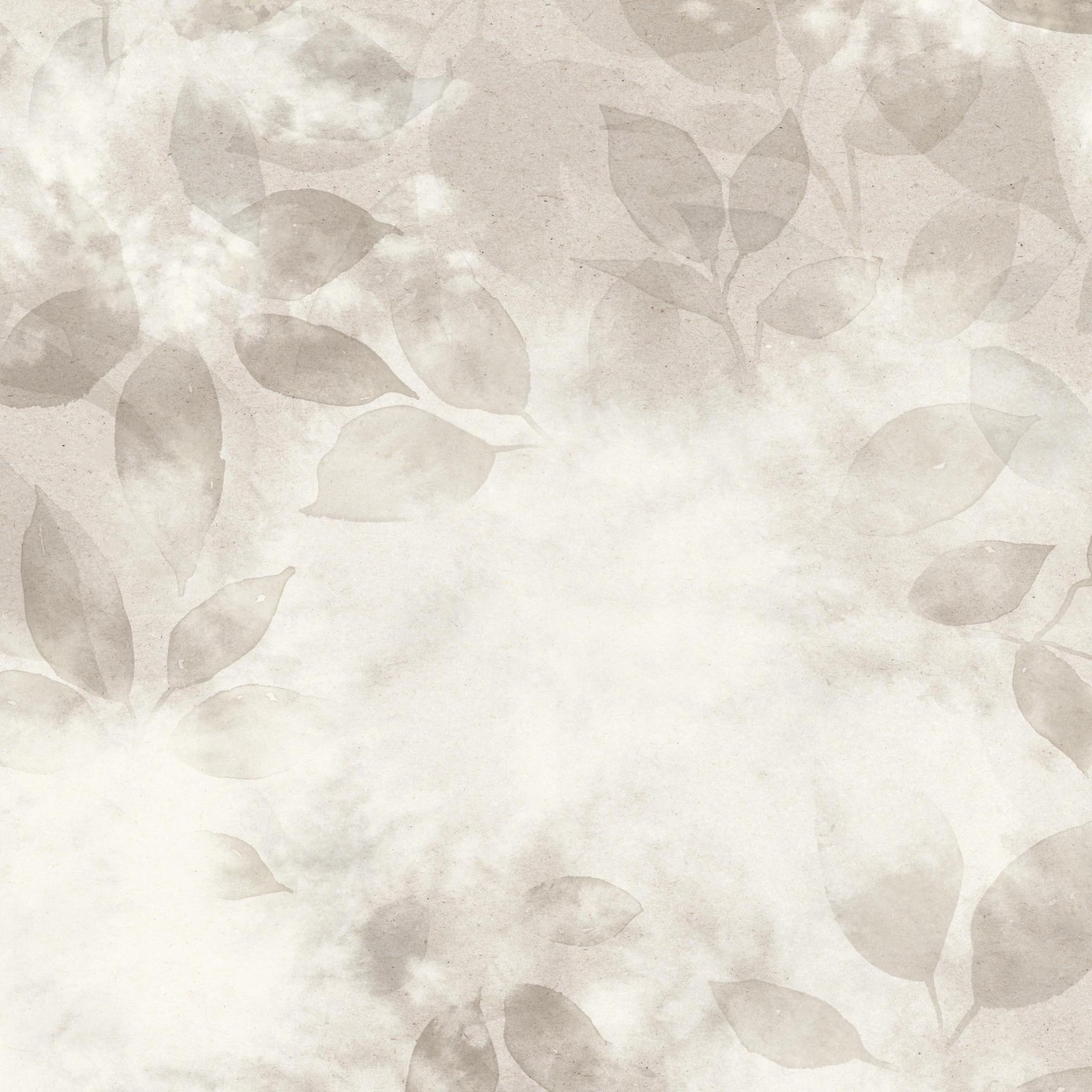SMOKE BUSH in Lace