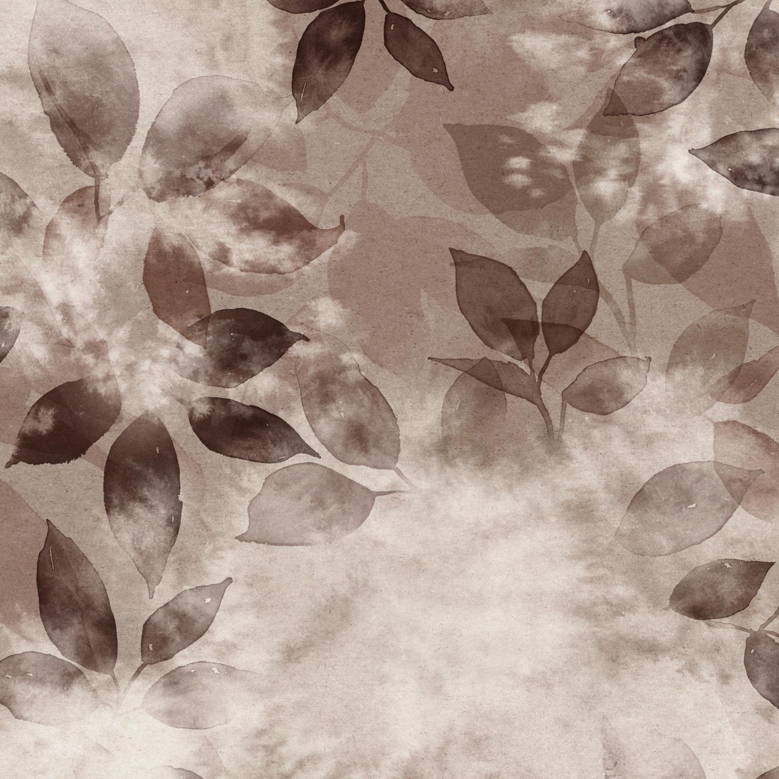 SMOKE BUSH in Bramble