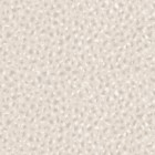 SERVAL in Cotton Wool