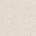 SERVAL in Cotton Wool