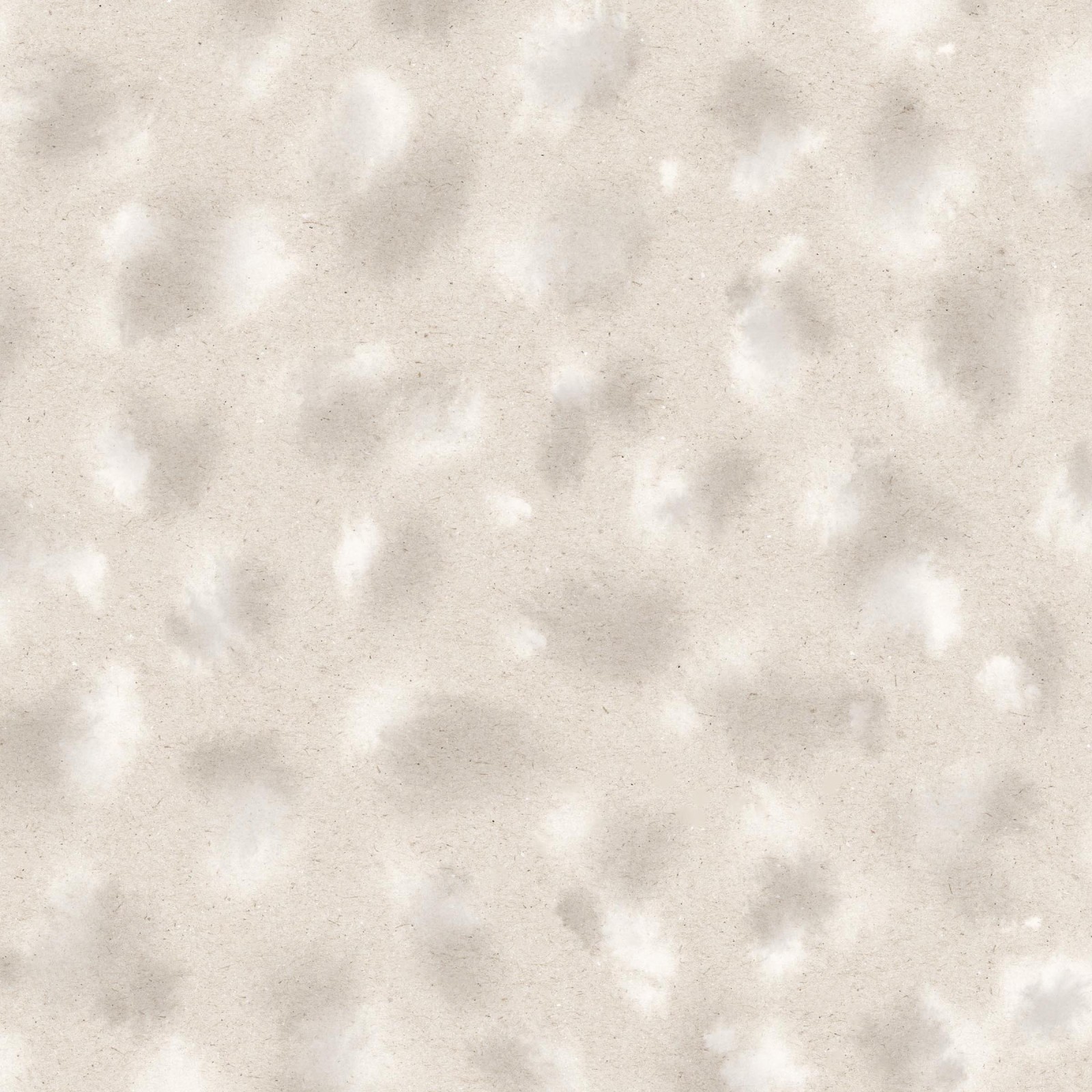 SERVAL in Cotton Wool