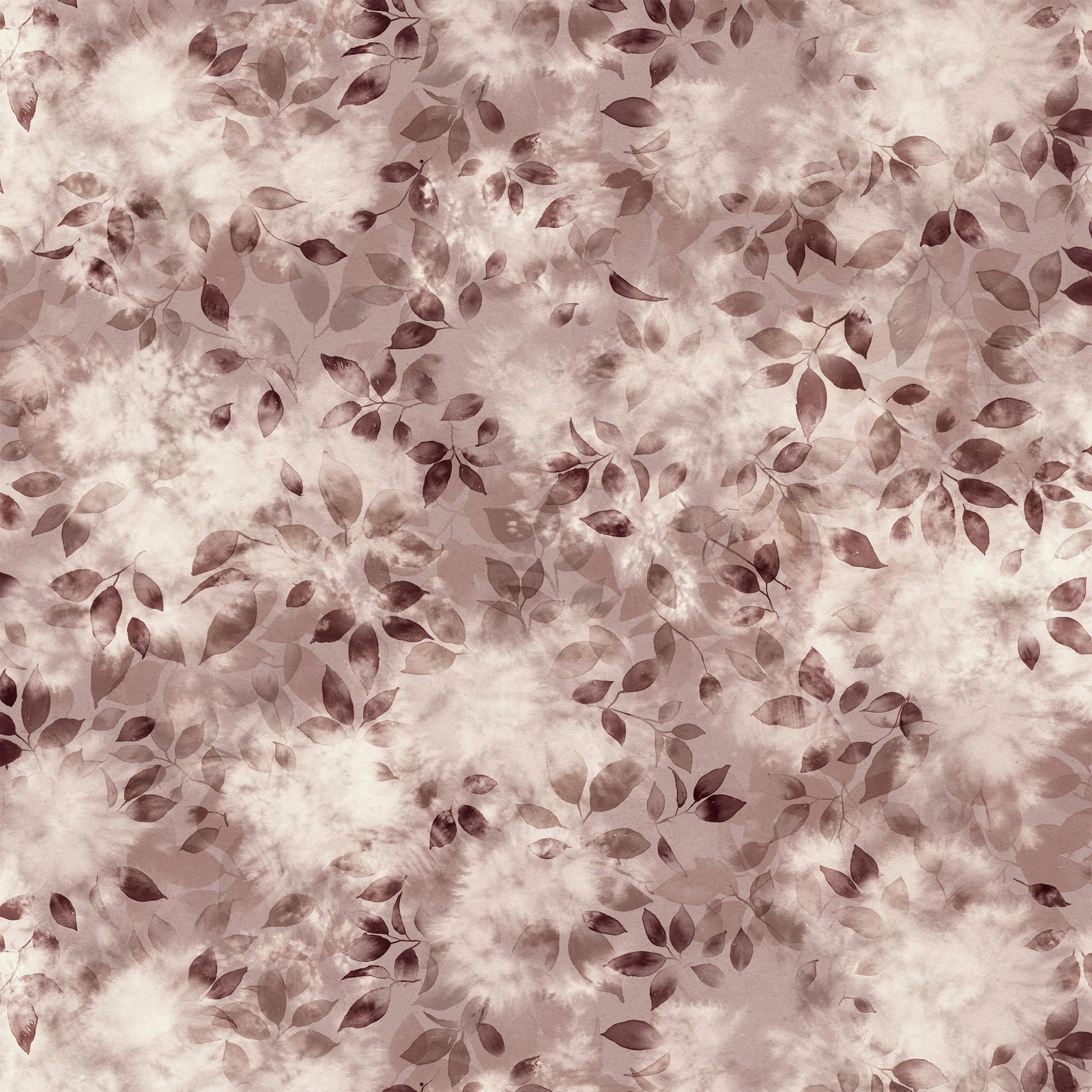 SMOKE BUSH in Claret