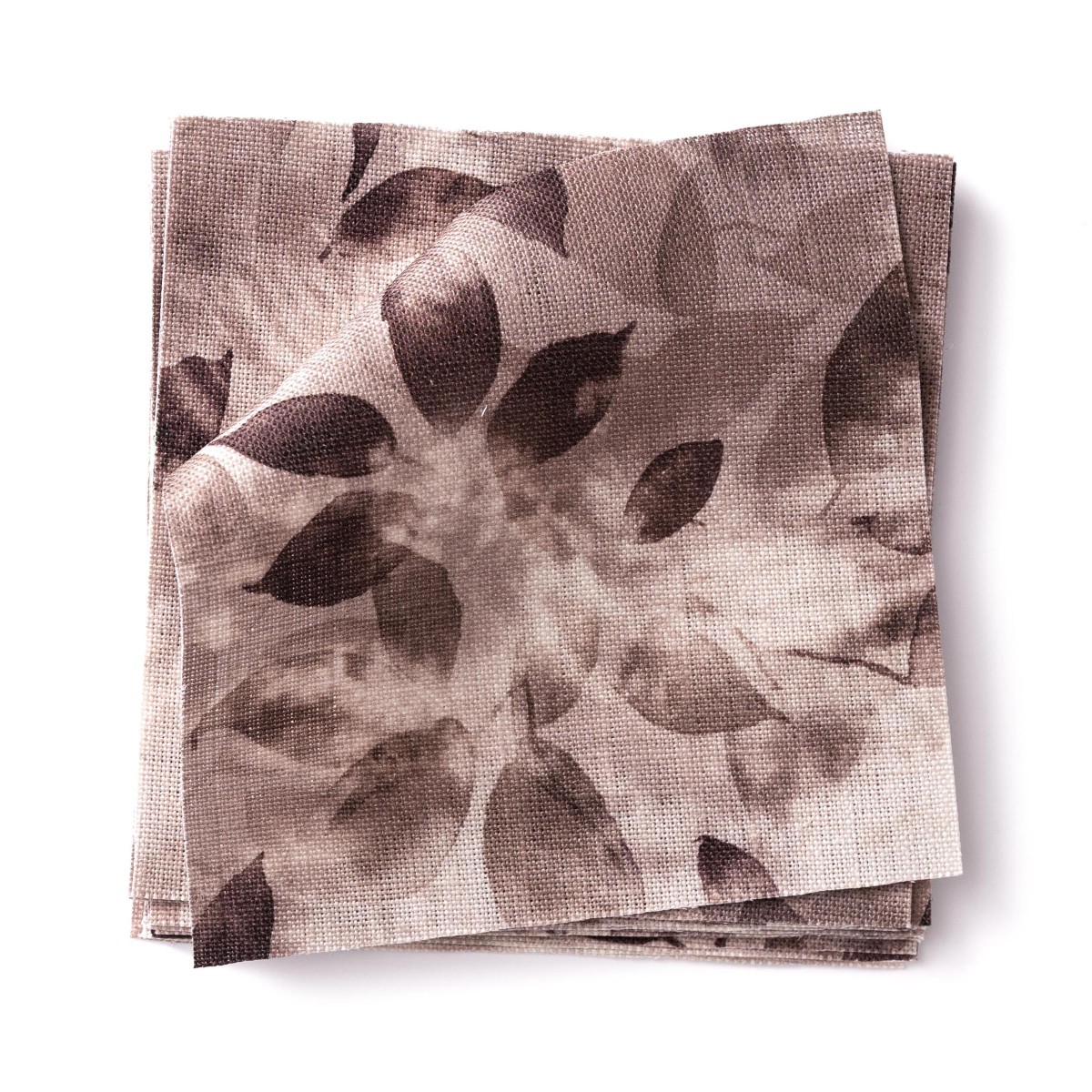 SMOKE BUSH in Claret