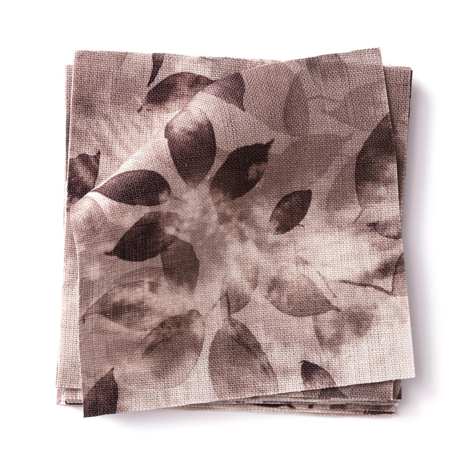 SMOKE BUSH in Claret